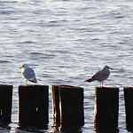 Ferienwohnungen Seazeit Objekt